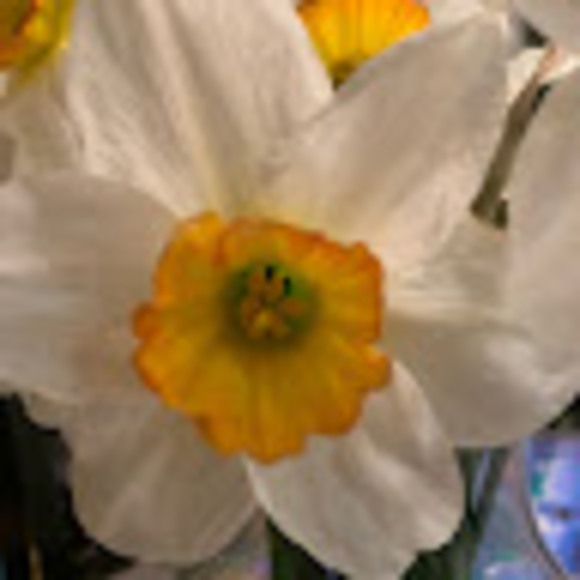 Meet your Posher, A - Picture 1 of 1